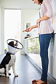 Woman giving dog in cone treat in kitchen