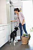 Dog begging at open fridge