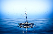 Splashing water droplet