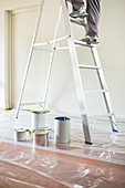Man climbing ladder to paint room