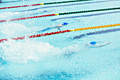 Swimmers racing in pool