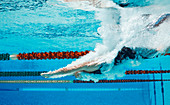 Swimmer diving into pool