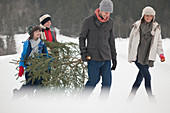 Happy family carrying Christmas tree