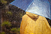 Woman under umbrella in rain