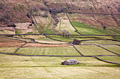 House and pastures in rural landscape