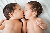 Twin baby girls kissing on bed