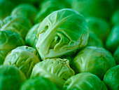 Extreme close up of raw Brussels sprouts