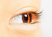 Close up of laser scanning brown eye