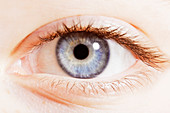 Extreme close up of blue eye