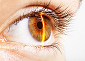 Close up of laser scanning hazel eye