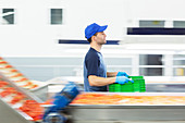 Worker carrying crate