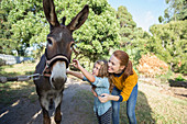 Student and teacher petting donkey at zoo
