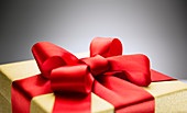 Close up of bow on wrapped gift