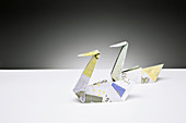 Origami swans made of Euros on counter