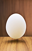 Close up of egg hovering over counter