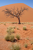 View of sunny desert