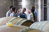 Vintner and winery employees examining wine