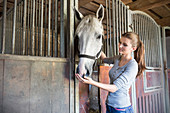 Woman feeding horse at stable stall