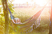 Serene woman napping in hammock