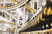Printing press conveyor belts