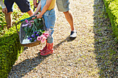 Family picking flowers in garden