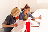 Businesswomen with laptop and paperwork