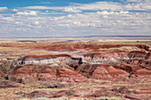 Petrified Forest, Arizona, United States