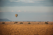 Hot hair balloon, Serengeti, Tanzania