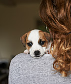 Portrait of puppy over girl shoulder