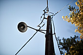 Street light and telephone pole
