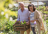 Smiling couple shopping for flowers