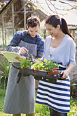 Plant nursery workers