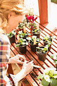 Woman writing on stick labels potting plants