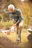 Man gardening digging dirt in autumn garden