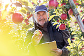 Male farmer with clipboard inspecting red apples