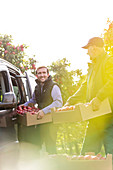 Smiling male farmers loading apples into car