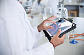 Scientist using digital tablet