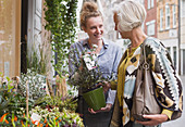 Florist showing flowers to female shopper