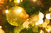Golden ornament and lights on Christmas tree