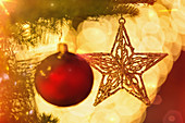Ornament and gold star on branch of Christmas tree