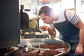 Male coffee roaster smelling coffee beans