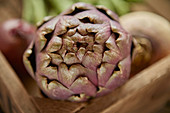 Fresh, organic healthy purple artichoke