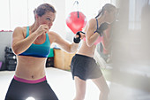 Determined female boxers shadowboxing in gym