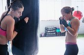 Female boxers boxing at punching bag in gym