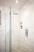 Luxury home showcase bathroom shower