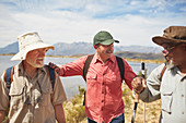 Active senior men friends hiking at sunny lakeside
