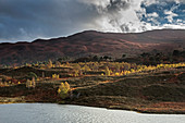 Tranquil autumn landscape, Glen Cannich, Scotland