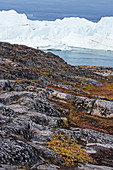 Icebergs beyond craggy rocks, Greenland,