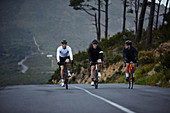 Male cyclists cycling on road