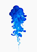 Blue ink on white background